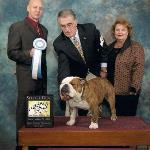 2010-11-21:  Select Dog under Rick Franz at the Las Vegas Bulldog Club specialty.  5-Point Major.
